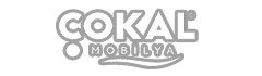 Çokal Mobilya